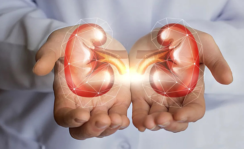 Urologie - Clinica Medicum