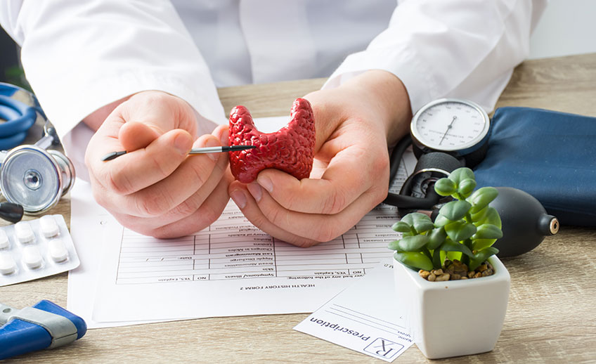 endocrinologie 2026 clinica medicum